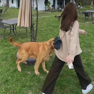 禁止的关系